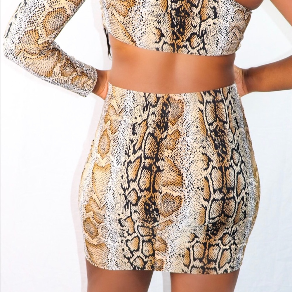 Python Skirt Set - Picture 3 of 4
